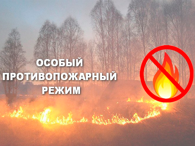 О введение особого противопожарного режима.