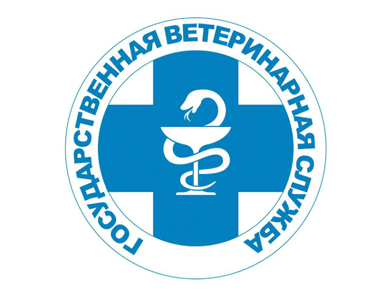 Содержание кур в домашних условиях требует внимания и заботы..