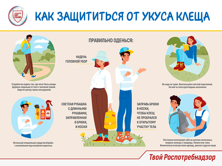 Начало сезона активности клещей!. Начало сезона активности клещей!.